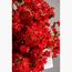 Cherry Blossom Plant - 180 cm-InfluencerCodes_Ramadan26_All_20012026-image-2
