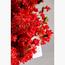 Cherry Blossom Plant - 180 cm-InfluencerCodes_Ramadan26_All_20012026-image-4