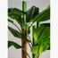 شجرة الموز - 250 سم-InfluencerCodes_Ramadan26_All_20012026-image-3