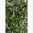 Olive Plant - 150 cm-InfluencerCodes_Ramadan26_All_20012026-image-3