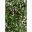 Olive Plant - 180 cm-InfluencerCodes_Ramadan26_All_20012026-image-4