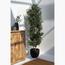 شجرة زيتون - 200 سم-InfluencerCodes_Ramadan26_All_20012026-image-3
