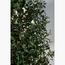 شجرة زيتون - 200 سم-InfluencerCodes_Ramadan26_All_20012026-image-1