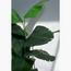 شجرة عصفور الجنة  - 150 سم-InfluencerCodes_Ramadan26_All_20012026-image-1