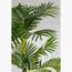 نبات أريكا - 70 سم-InfluencerCodes_Ramadan26_All_20012026-image-2