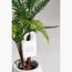 River Fern Plant - 80 cm-InfluencerCodes_Ramadan26_All_20012026-image-2