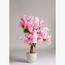 Cherry Blossom Faux Tree - 120 cm-InfluencerCodes_Ramadan26_All_20012026-image-1