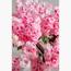 Cherry Blossom Faux Tree - 120 cm-InfluencerCodes_Ramadan26_All_20012026-image-5
