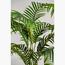 نبات نخيل أريكا - 120 سم-InfluencerCodes_Ramadan26_All_20012026-image-1