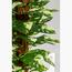 نبات مونستيرا طويل- 120 سم-InfluencerCodes_Ramadan26_All_20012026-image-1