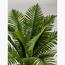 Cycas Palm Plant - 50 cm-InfluencerCodes_Ramadan26_All_20012026-image-3