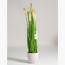 Fountain Grass Plant - 130 cm-InfluencerCodes_Ramadan26_All_20012026-image-1