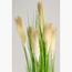 Fountain Grass Plant - 130 cm-InfluencerCodes_Ramadan26_All_20012026-image-3