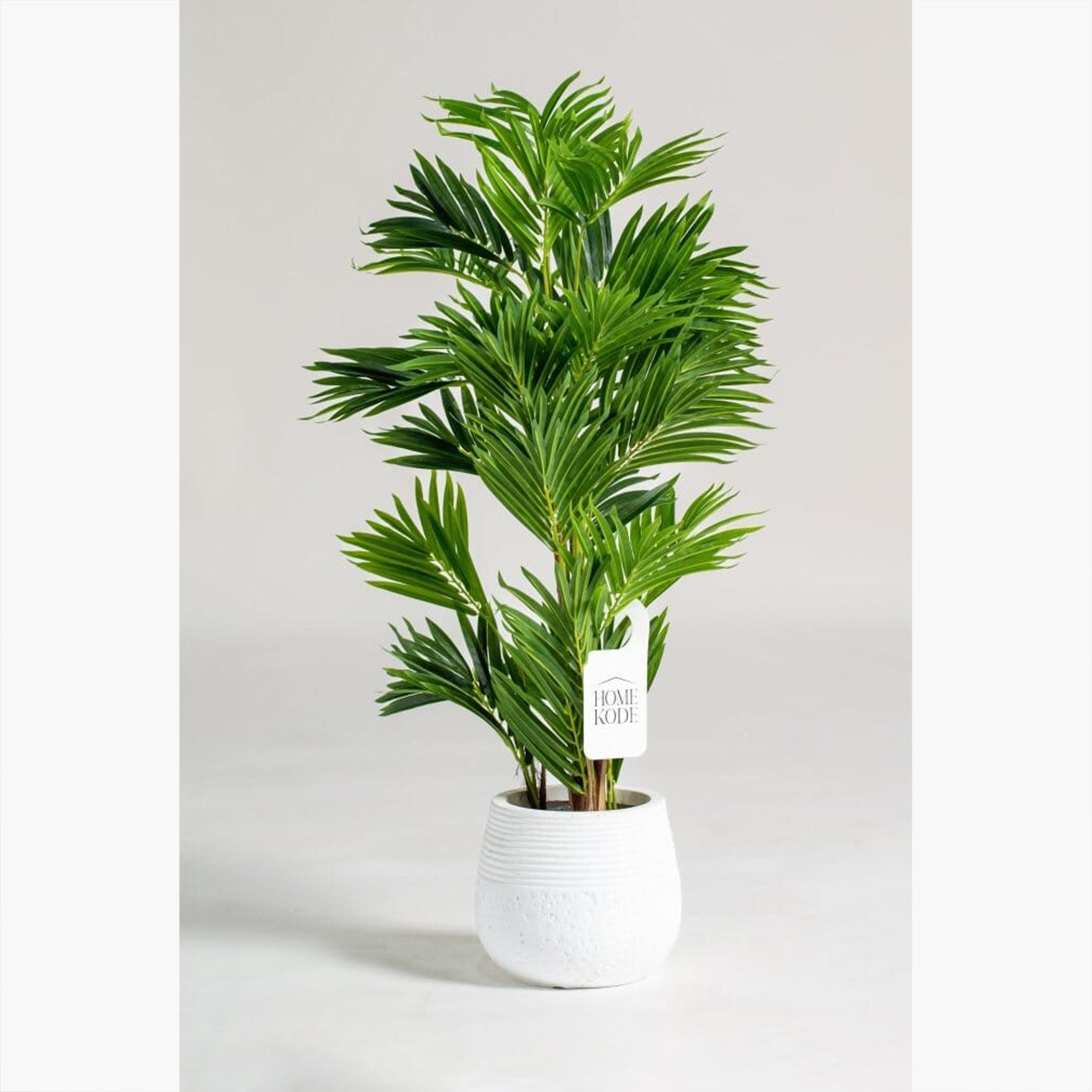 Areca Palm Tree - 150 cm