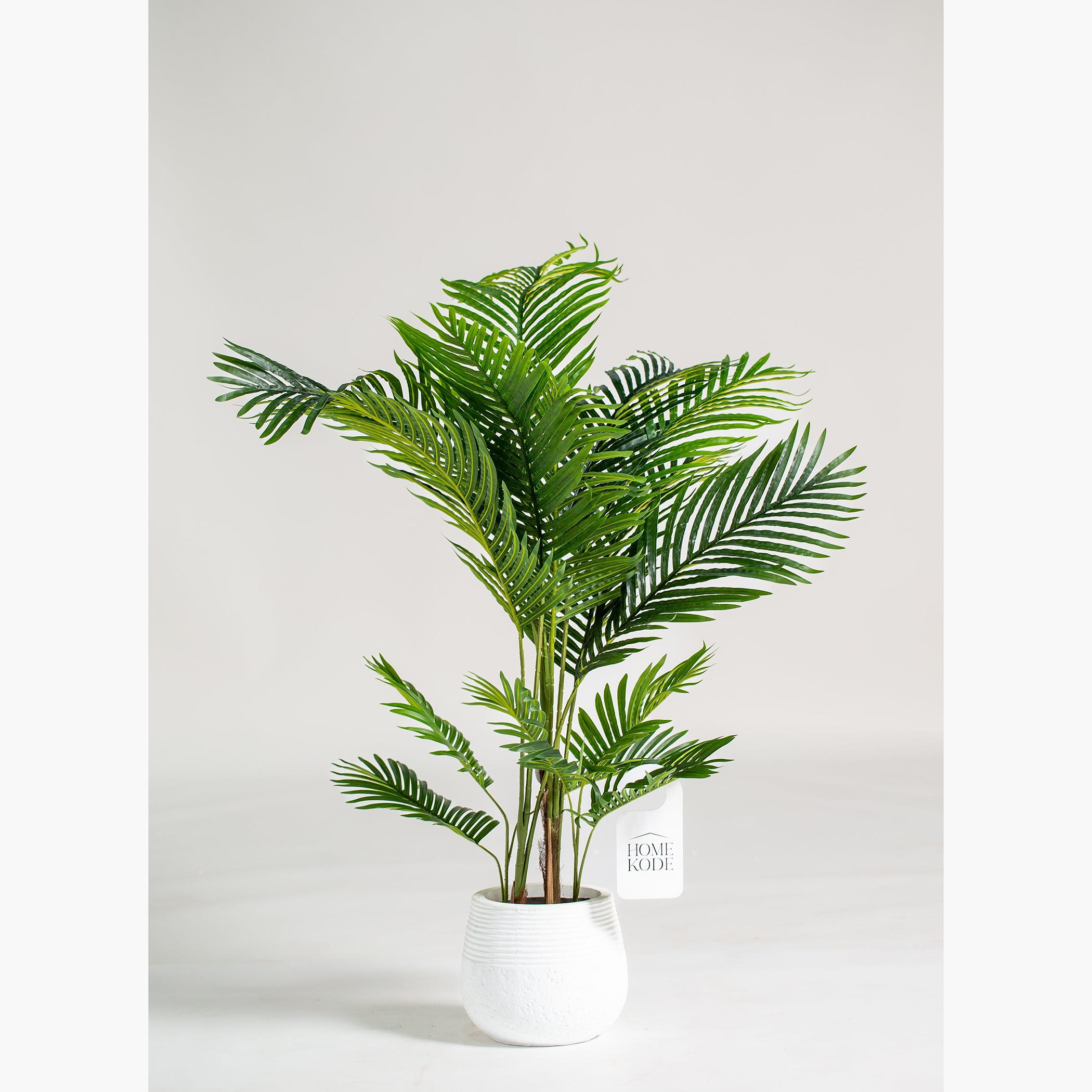 Areca Palm Plant - 140 cm
