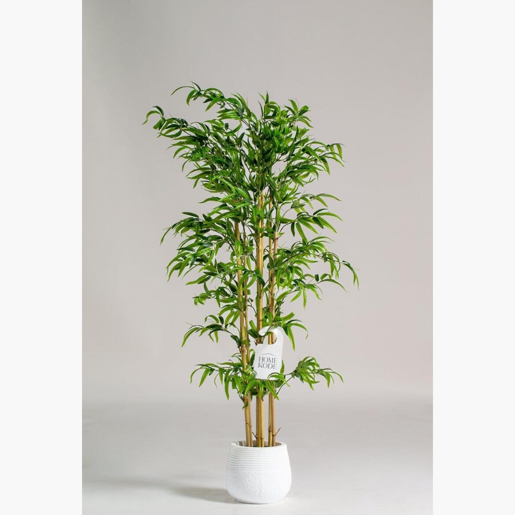 Bamboo Tree - 150 cm
