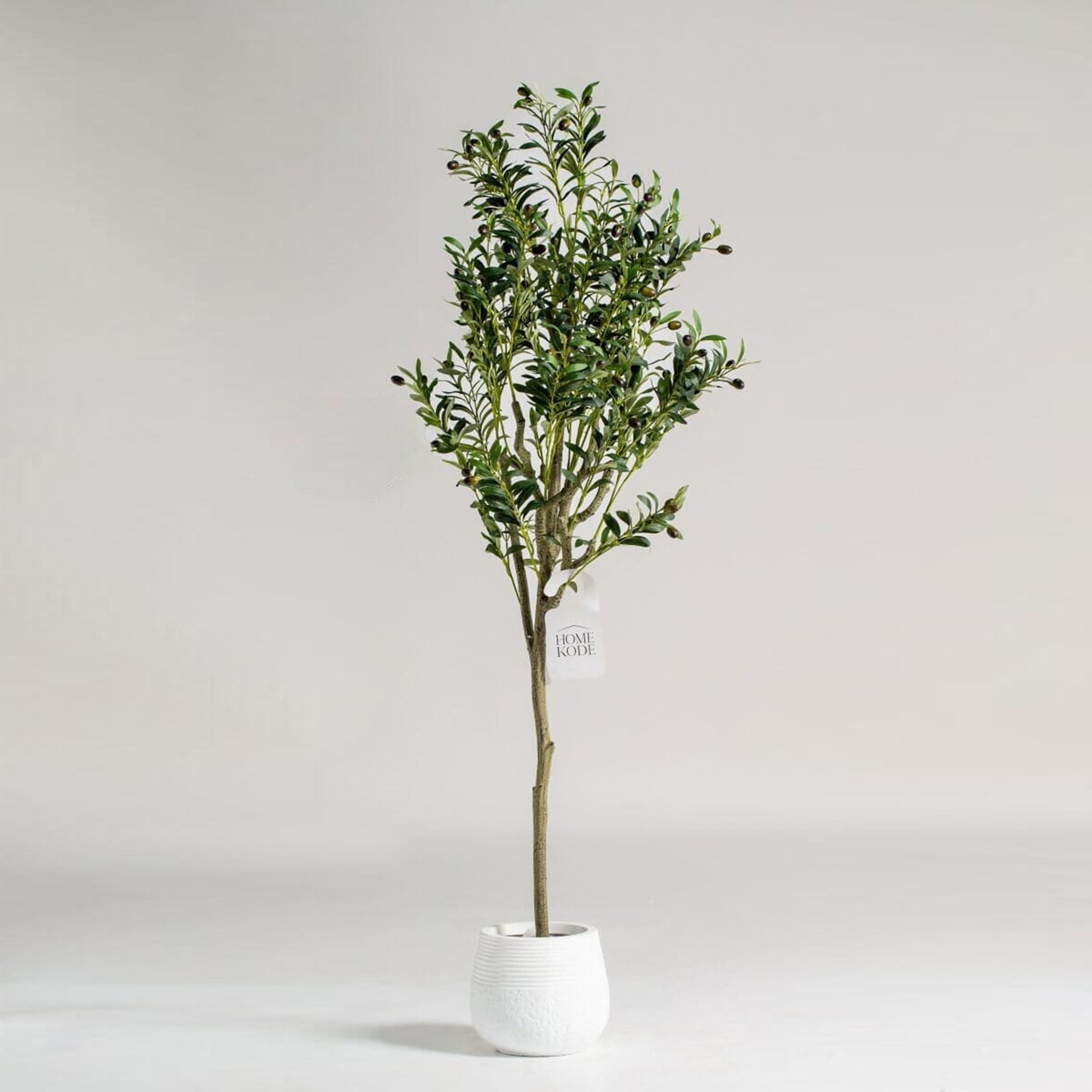 HomeKode Olive Tree - 180 cm