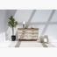 نبات شجرة زيتون - هوم كود - 180 سم-InfluencerCodes_Ramadan26_All_20012026-image-4