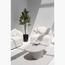 نبات شجرة زيتون - هوم كود - 180 سم-InfluencerCodes_Ramadan26_All_20012026-image-2