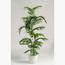 Areca Palm Artificial Tree - 190 cm-InfluencerCodes_Ramadan26_All_20012026-image-1