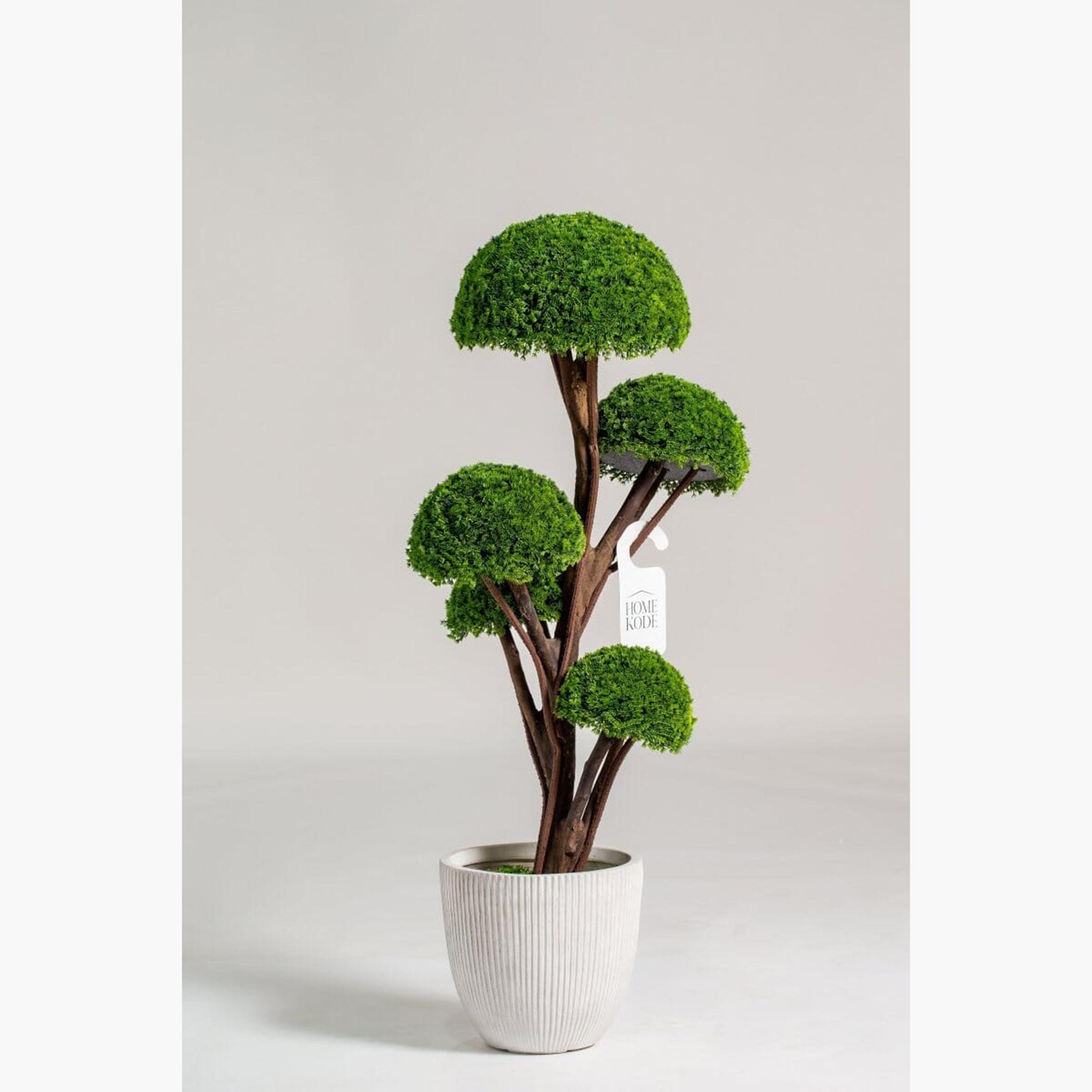 Halfball Tree - 120 cm