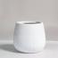 HomeKode Ceramic Planter - 21 cm-InfluencerCodes_Ramadan26_All_20012026-image-2