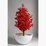 HomeKode Fibre Planter - 81 cm-InfluencerCodes_Ramadan26_All_20012026-image-2