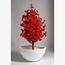 HomeKode Fibre Planter - 81 cm-InfluencerCodes_Ramadan26_All_20012026-image-3