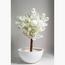 HomeKode Fibre Planter - 81 cm-InfluencerCodes_Ramadan26_All_20012026-image-4