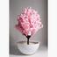 HomeKode Fibre Planter - 81 cm-InfluencerCodes_Ramadan26_All_20012026-image-5