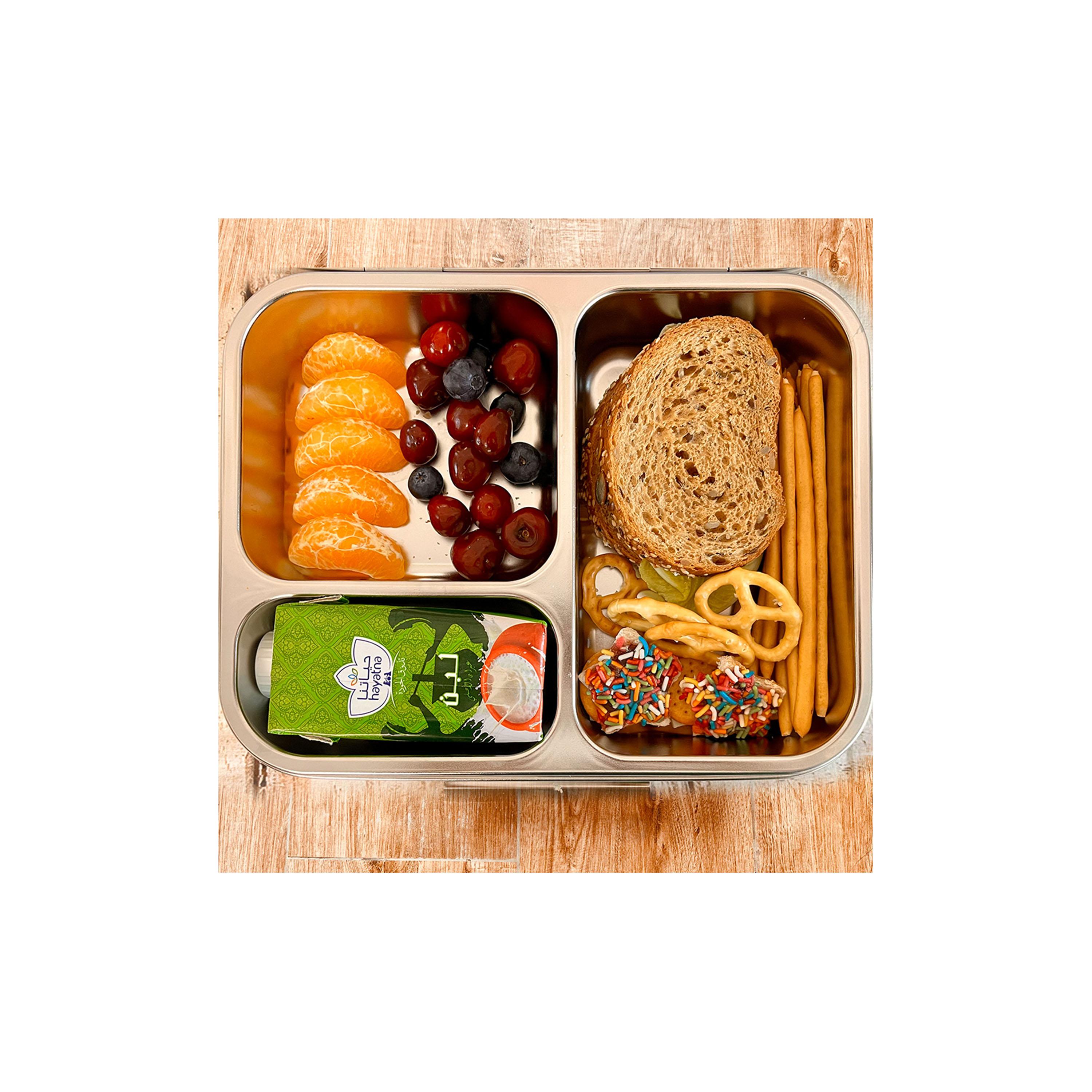 صندوق غداء من الستانلس ستيل 3 أقسام من إيزي كيدز، 1750-school-lunchessentials-lunchboxes-image-3