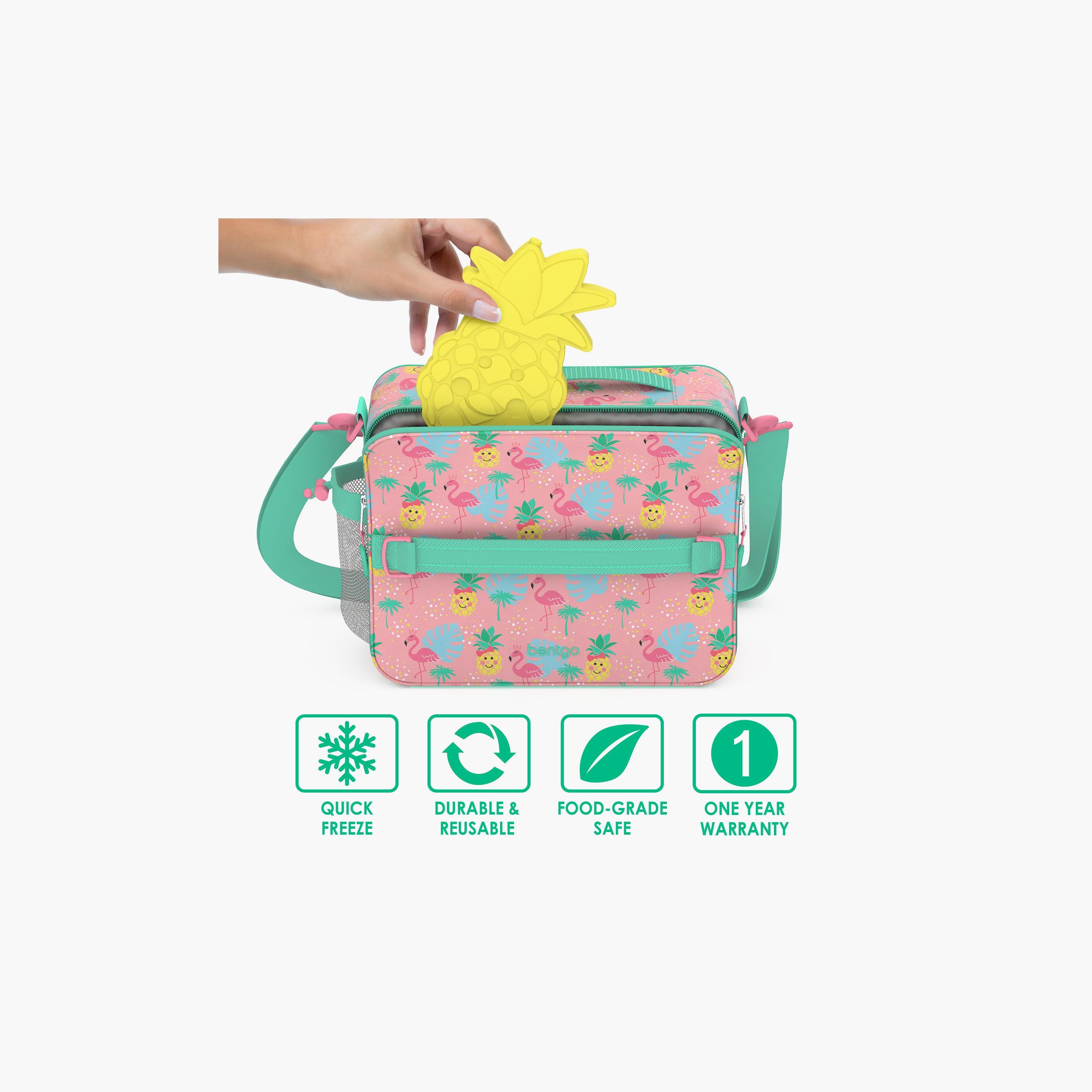مجموعة من 4 قطع ثلج قابلة لإعادة الاستخدام من بينتجو - فاكهة-school-lunchessentials-lunchboxes-image-2