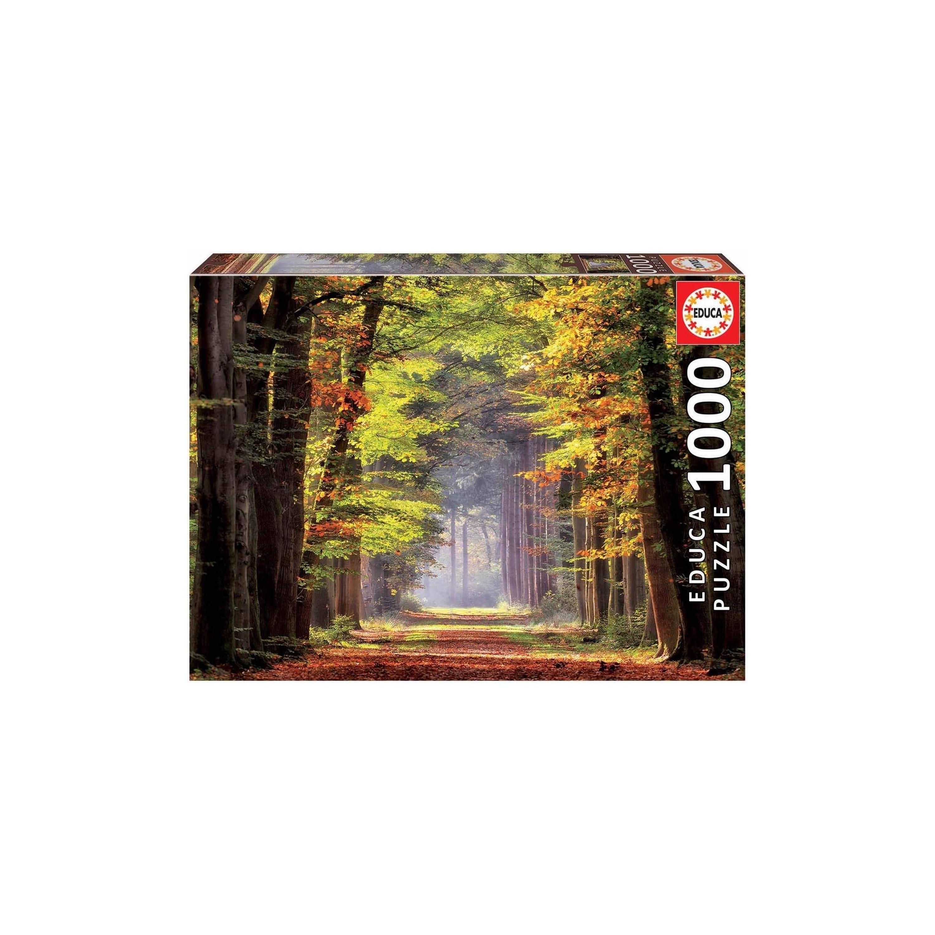 Educa 1000-Piece Paseo Otonal Puzzle-toys-indoortoys-puzzles-image-1