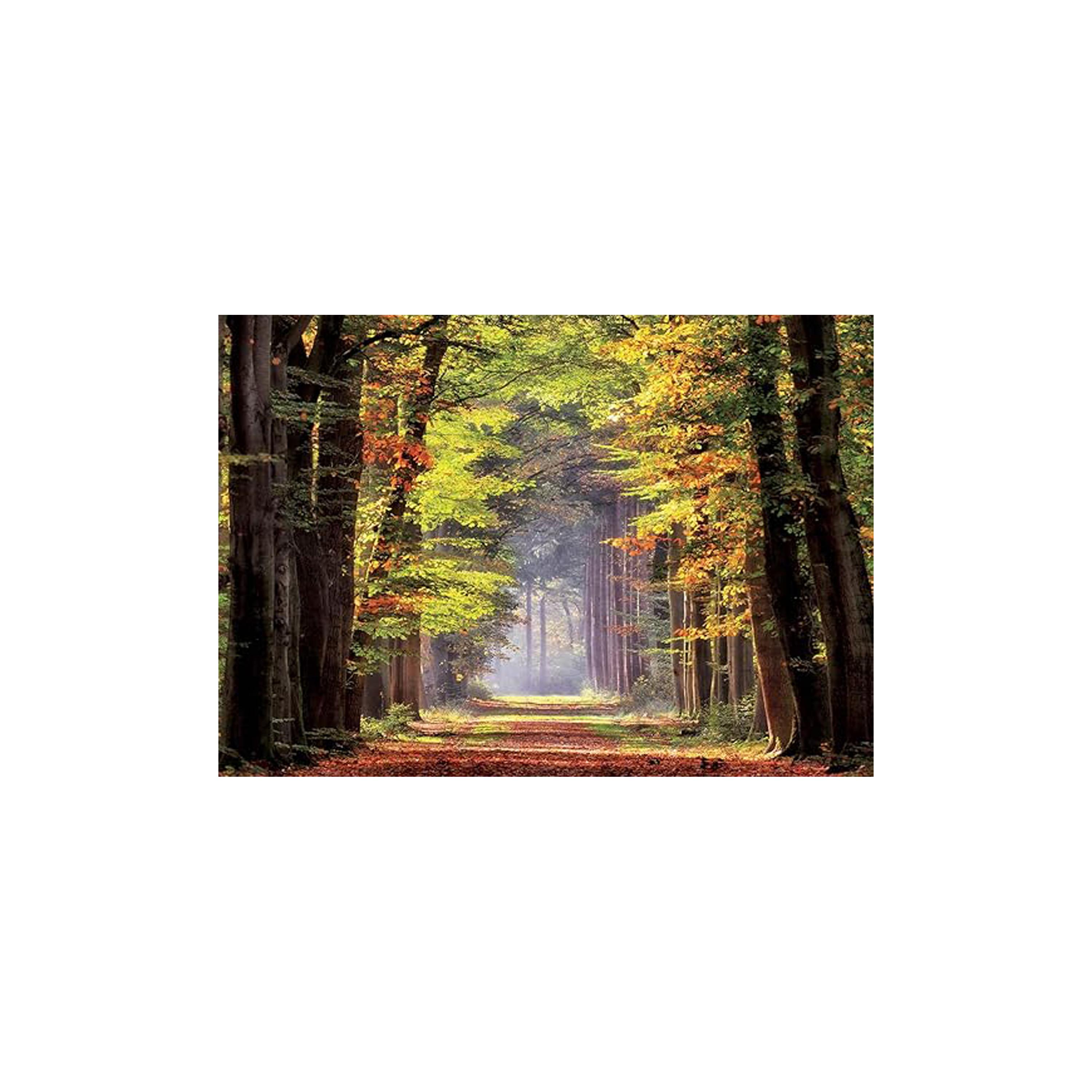 Educa 1000-Piece Paseo Otonal Puzzle-toys-indoortoys-puzzles-image-2