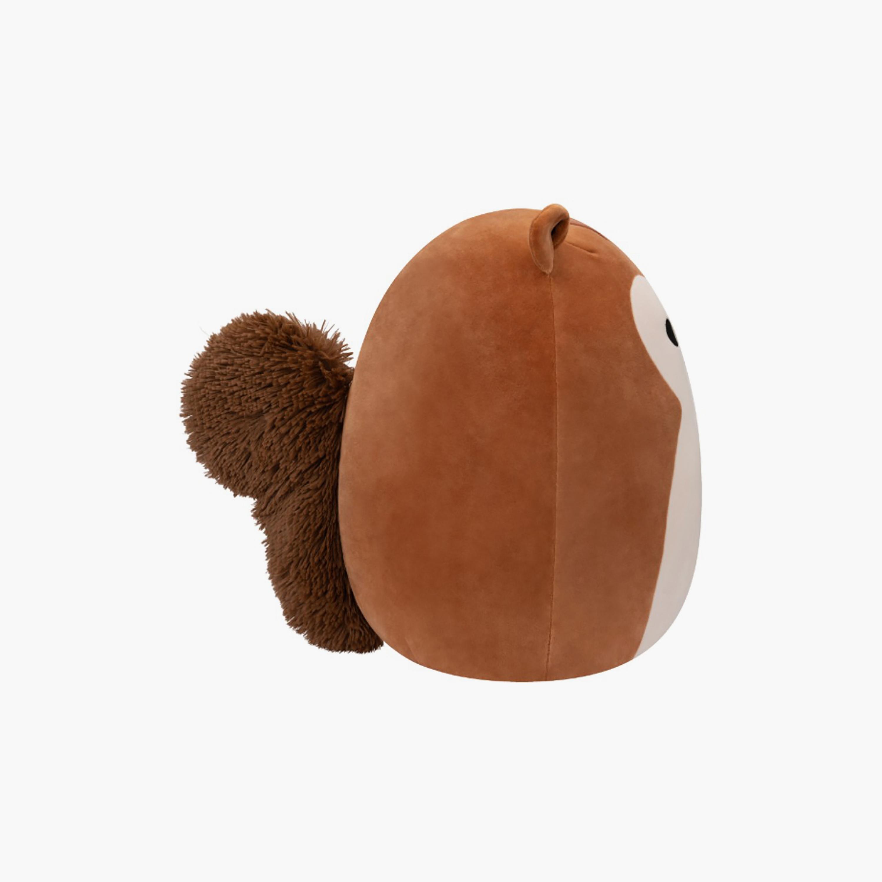 Squishmallows 5'' Sawyer the Brown Squirrel W/Acorn Plush Toy-toys-plushsofttoys-animals-image-3