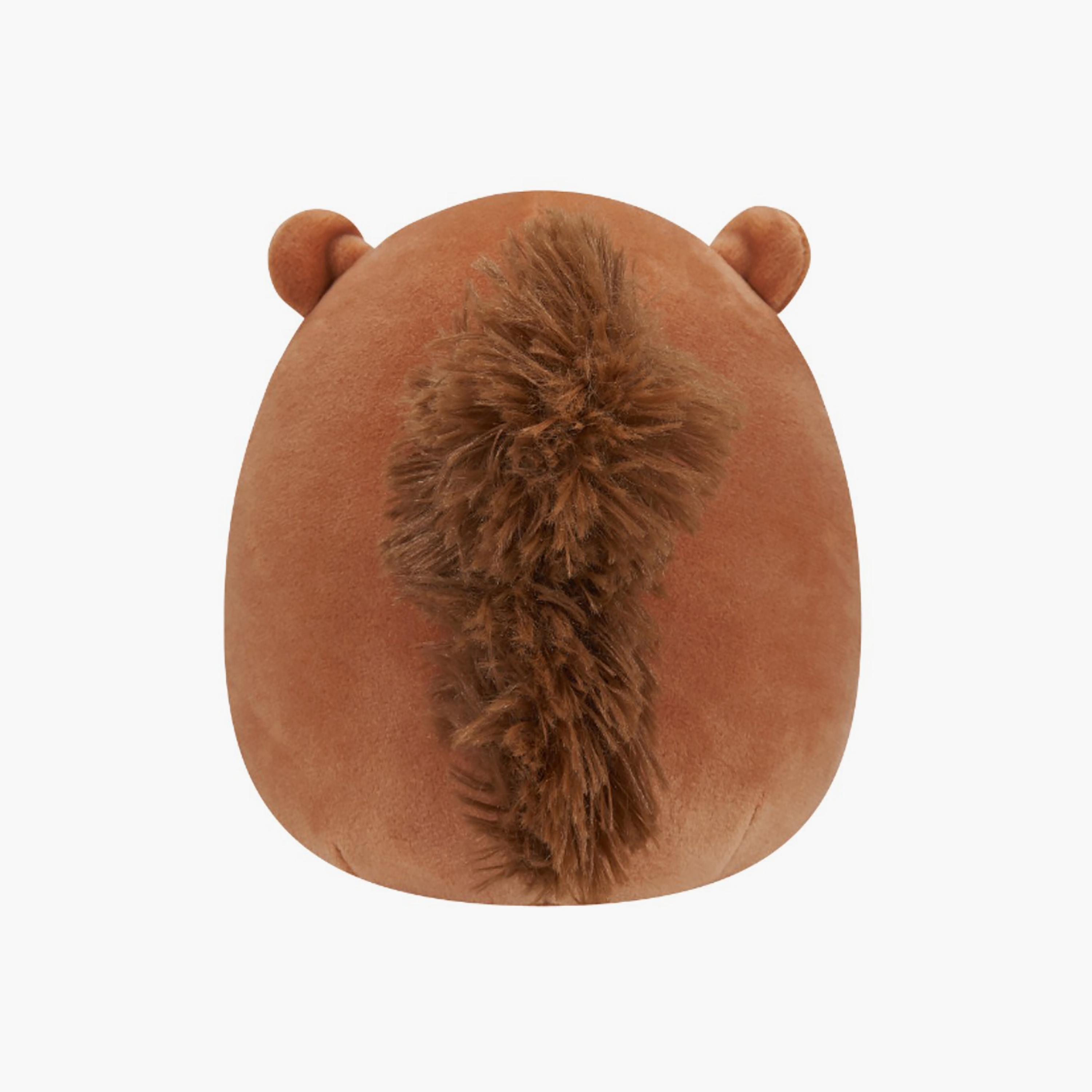 Squishmallows 5'' Sawyer the Brown Squirrel W/Acorn Plush Toy-toys-plushsofttoys-animals-image-4