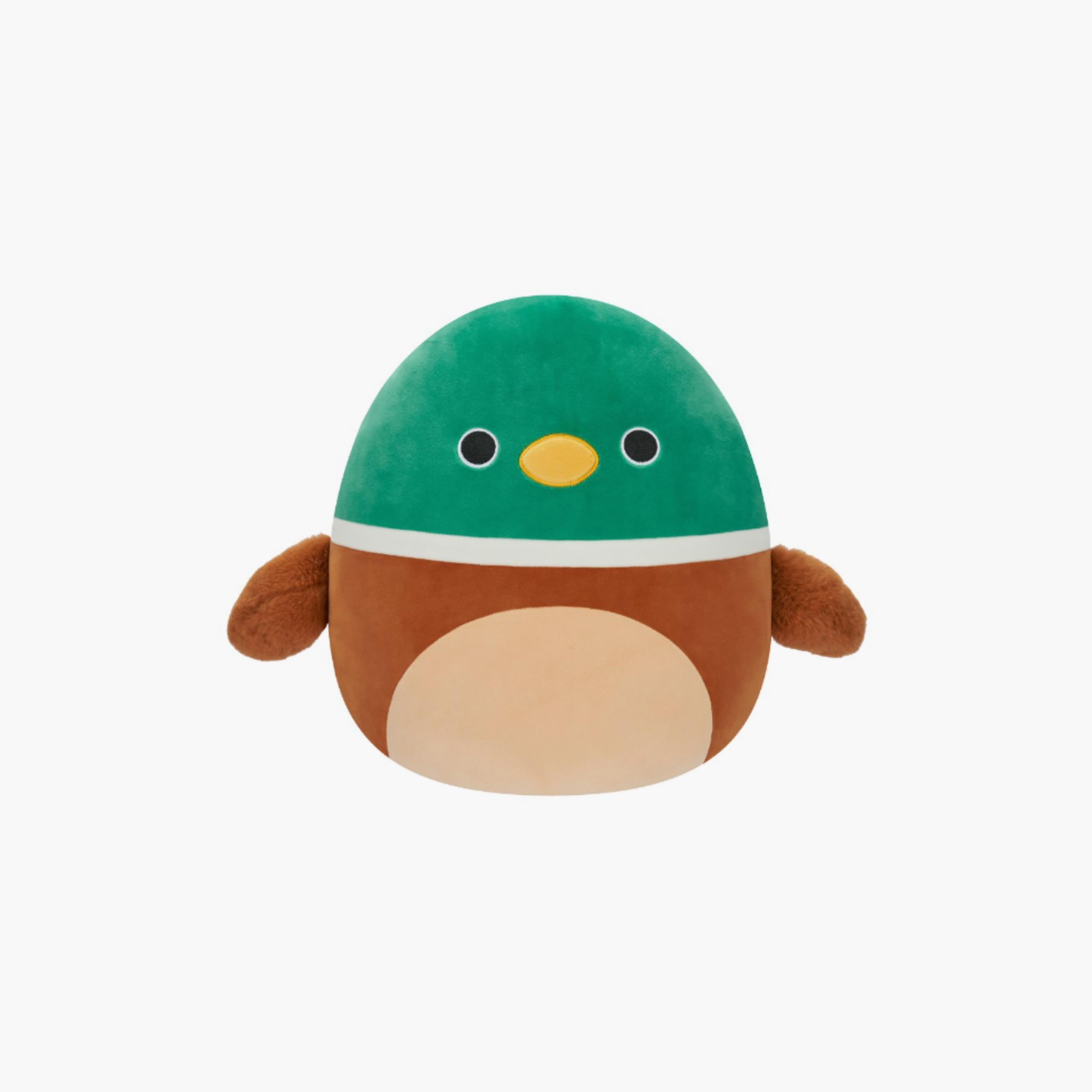 Squishmallows 12'' Avery the Mallard Duck Plush Toy-toys-plushsofttoys-animals-image-1