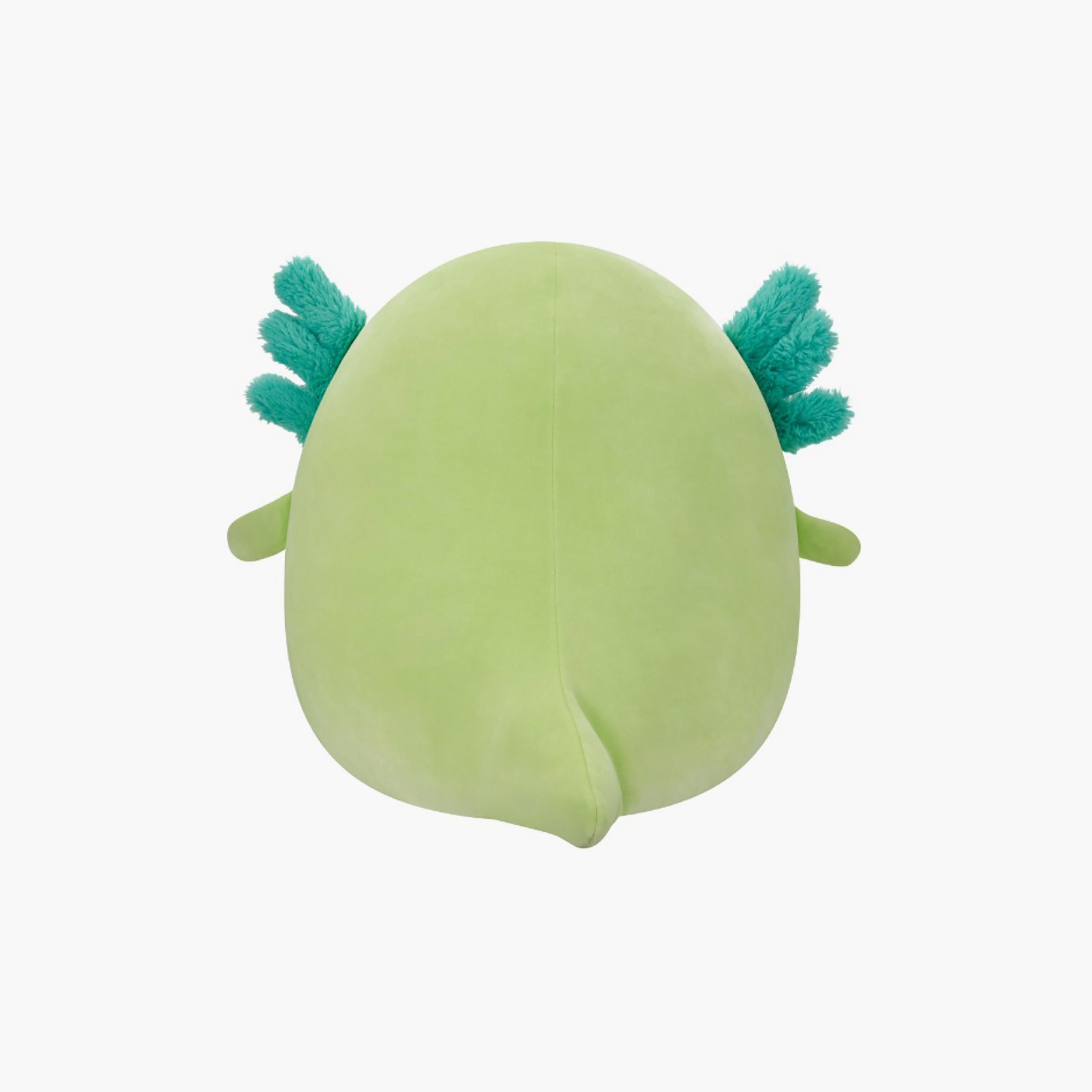 Squishmallows 16'' Mipsy the Green Axolotl Plush Toy-toys-plushsofttoys-animals-image-4