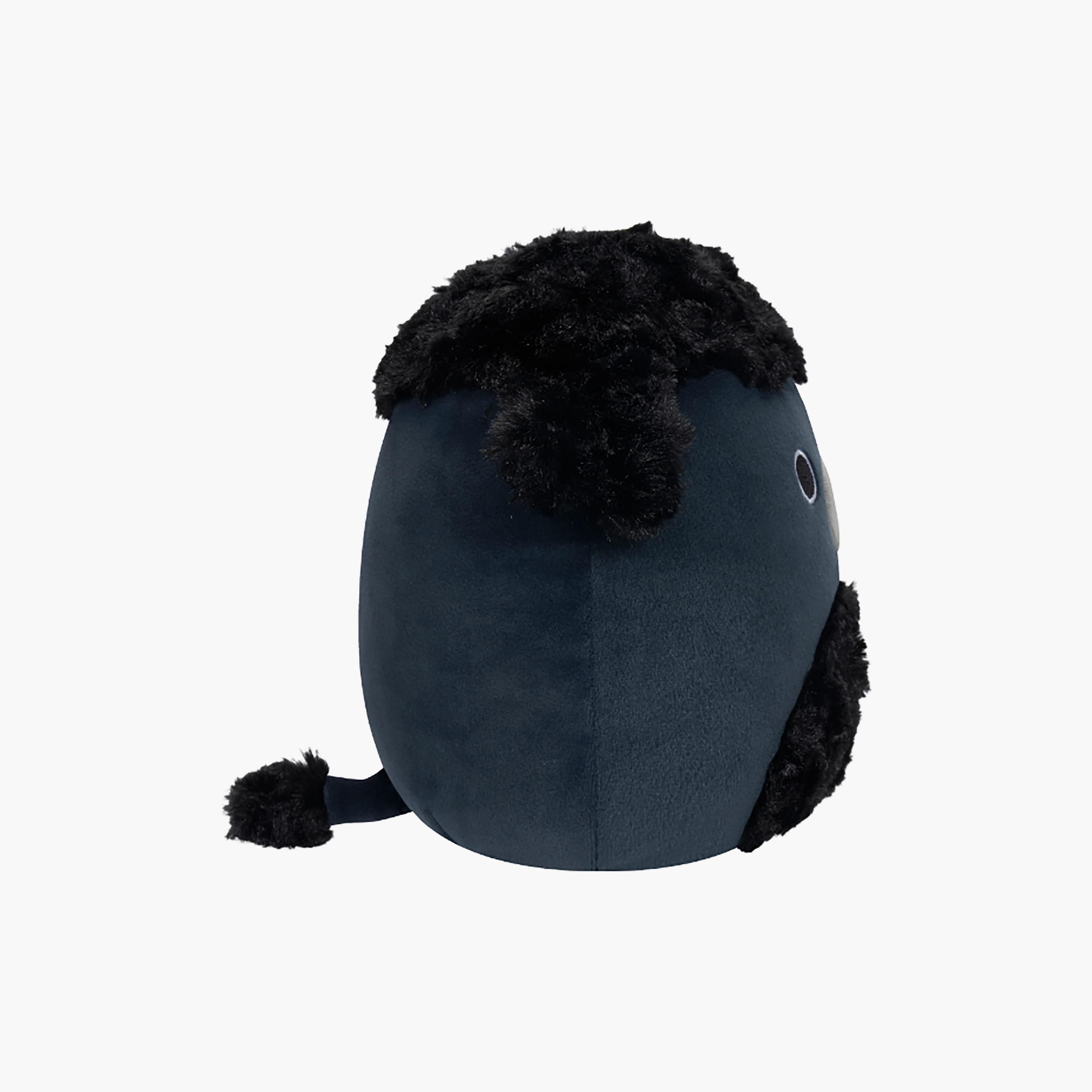 Squishmallows 7.5'' Jettward the Black Poodle Plush Toy-toys-plushsofttoys-animals-image-3