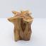 The 8 Senses Living Lora Organic Wooden Top Coffee Table-InfluencerCodes_Ramadan26_All_20012026-image-13