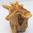 The 8 Senses Living Lora Organic Wooden Top Coffee Table-InfluencerCodes_Ramadan26_All_20012026-image-8