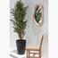 HomeKode Faye Wall Mirror - 90x60 cm-InfluencerCodes_Ramadan26_All_20012026-image-3