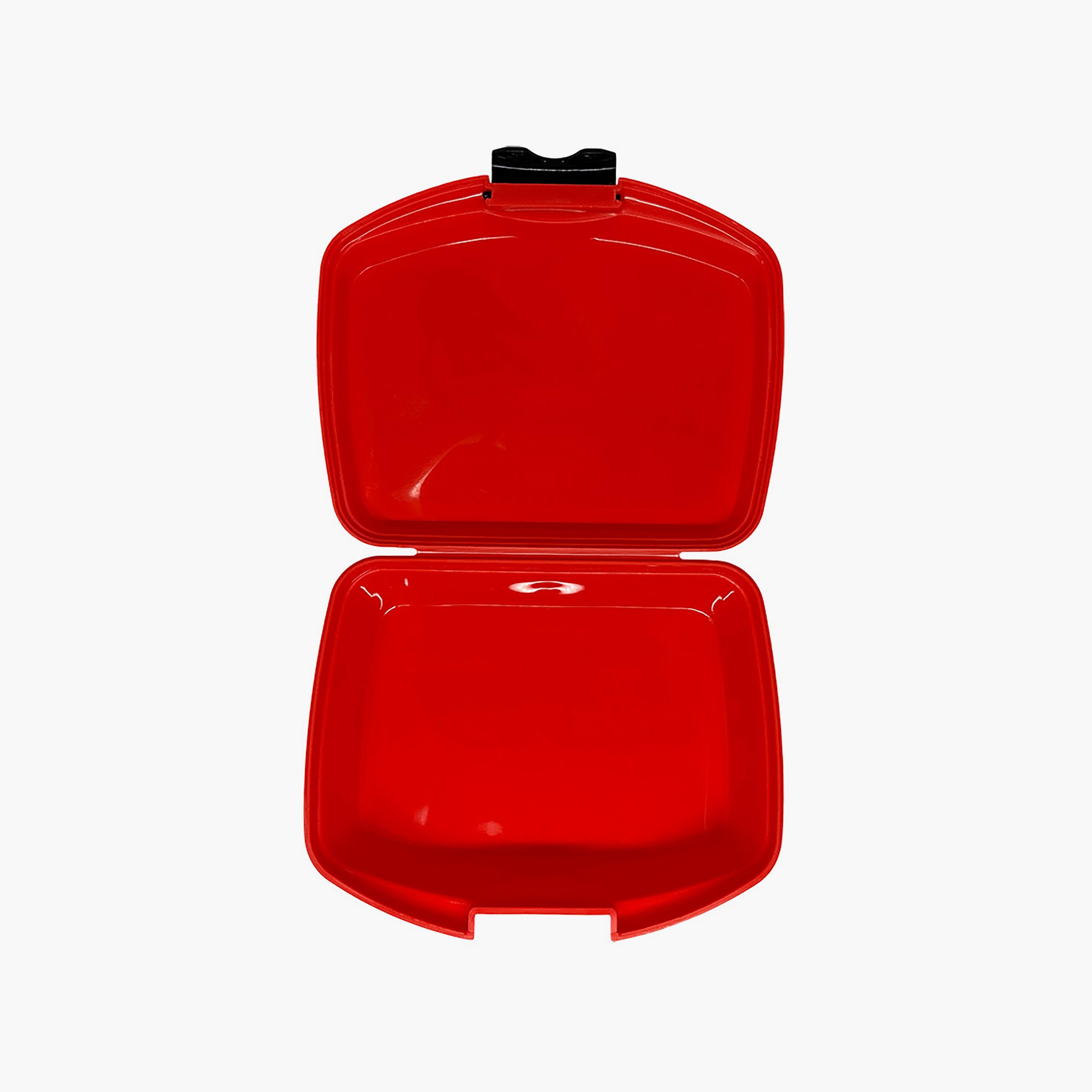 The Flash Printed Lunch Box - Red-school-lunchessentials-lunchboxes-image-4