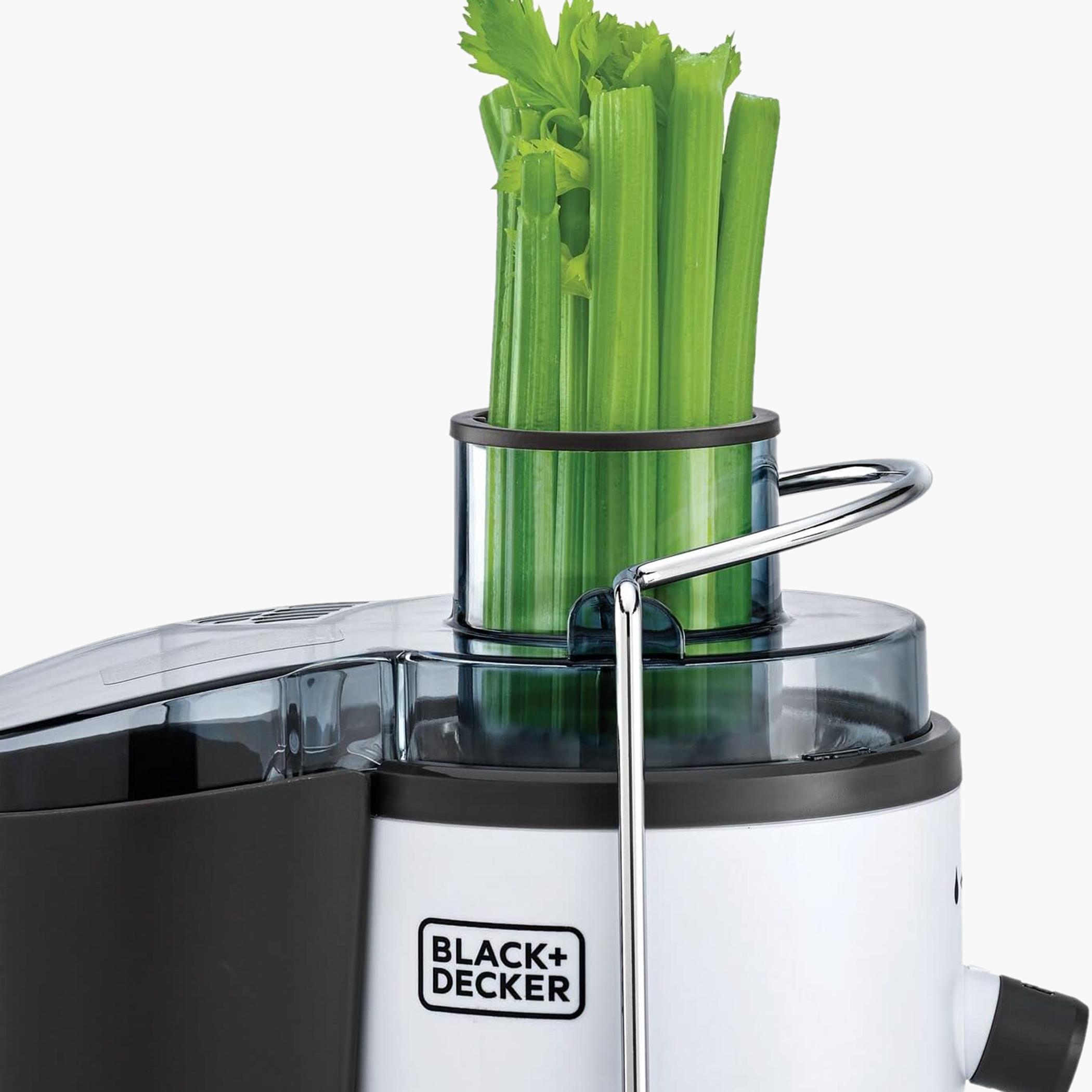 عصارة 600 واط من بلاك آند ديكر - JE600-B5-hbxhomeware-appliances-blendersmixersandgrinders-image-10