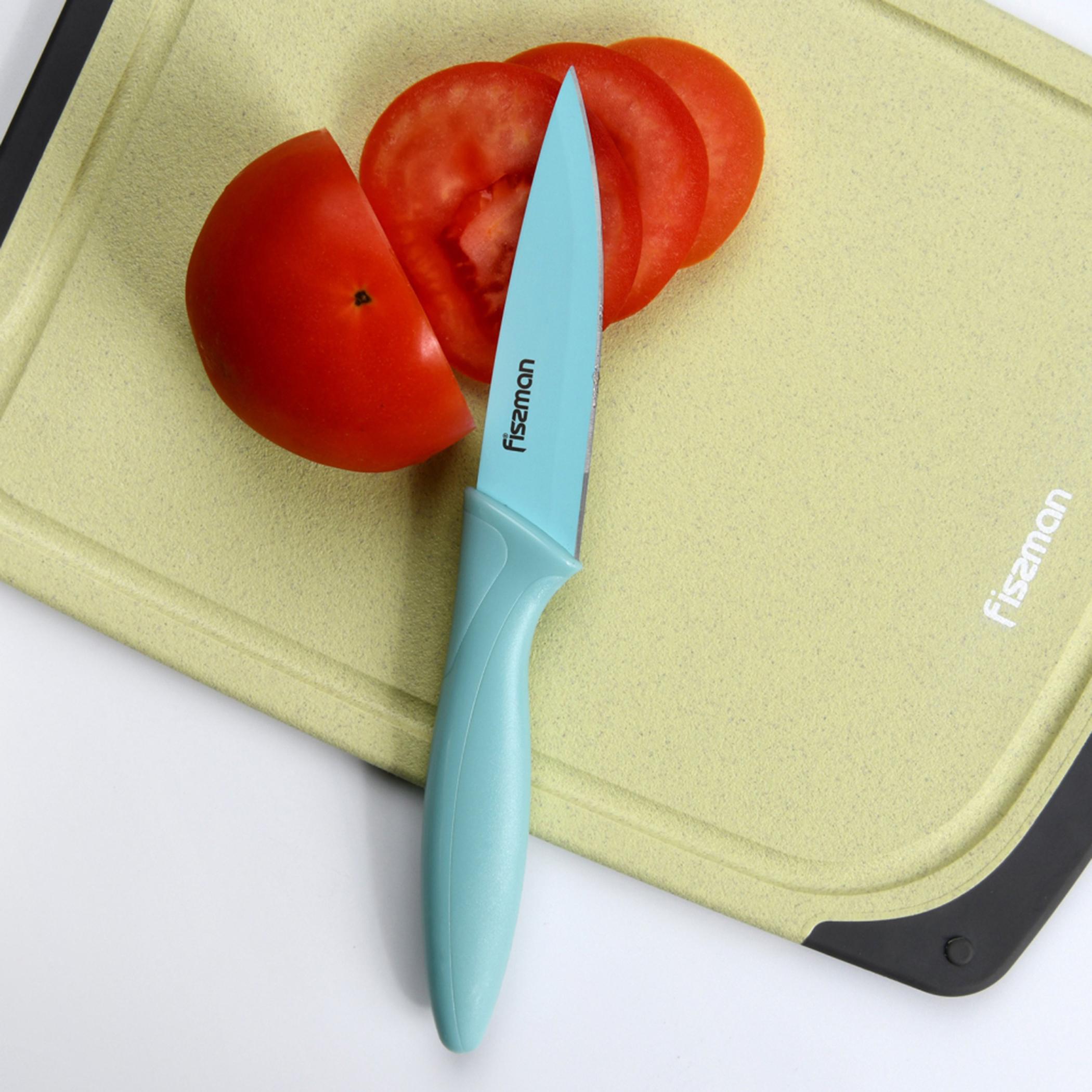 Stainless Steel Knife with Sheath - Paring -household-kitchen-kitchentoolsandutensils-knives-image-1