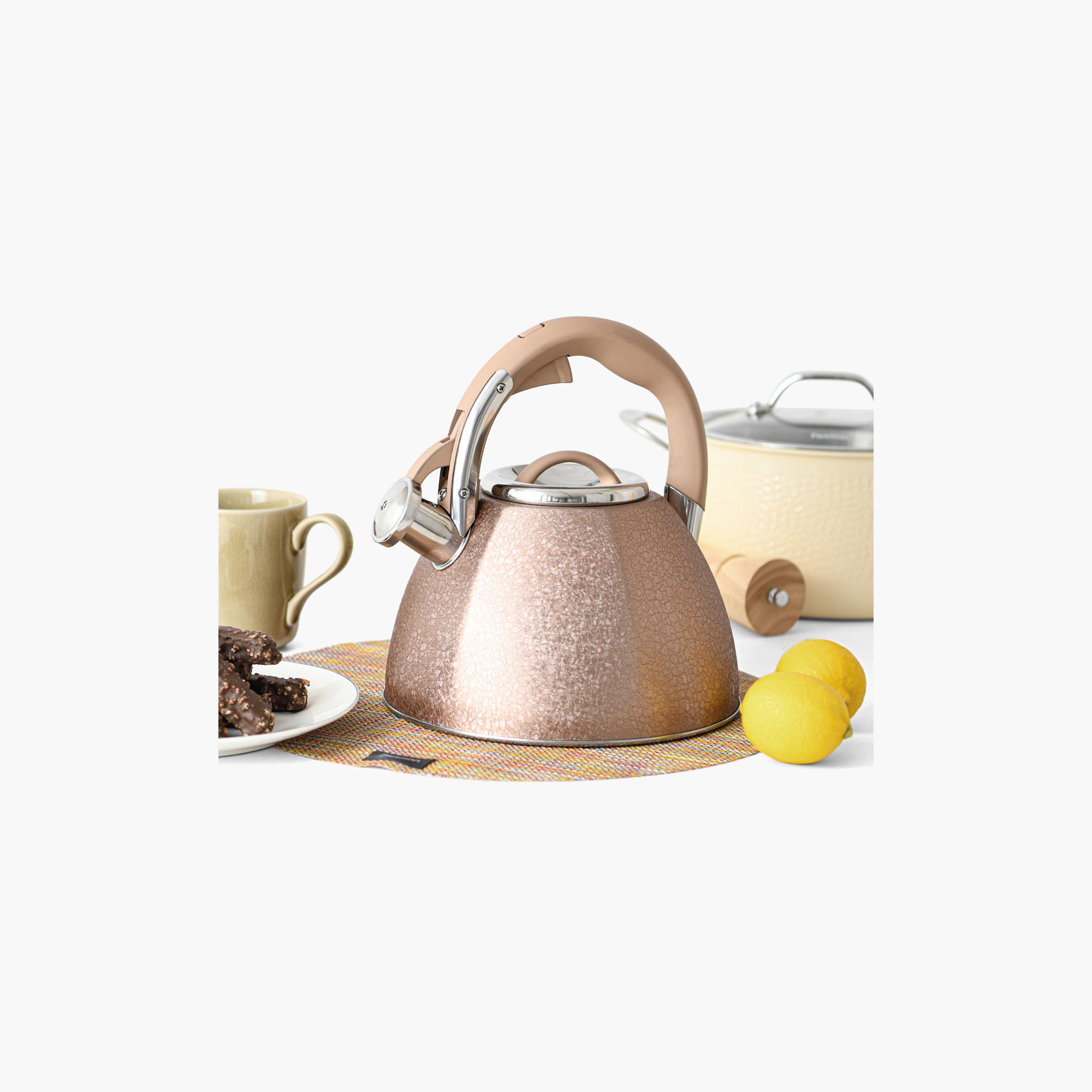 Goldy Stainless Steel Whistling Kettle - 3 L-household-dining-teaandcoffee-vacuumflaskscoffeeandteapots-image-1
