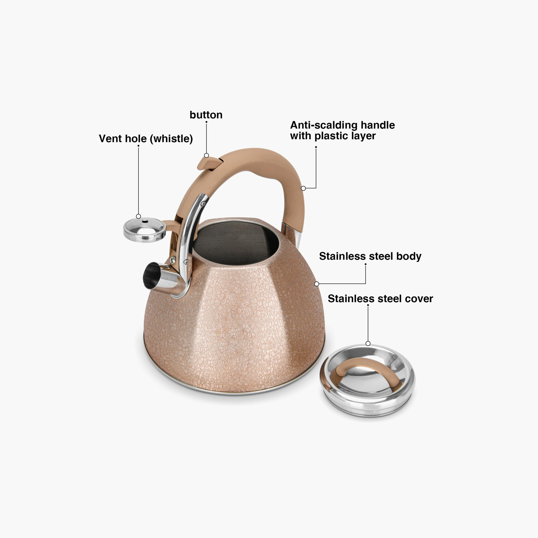 Goldy Stainless Steel Whistling Kettle - 3 L-household-dining-teaandcoffee-vacuumflaskscoffeeandteapots-image-3