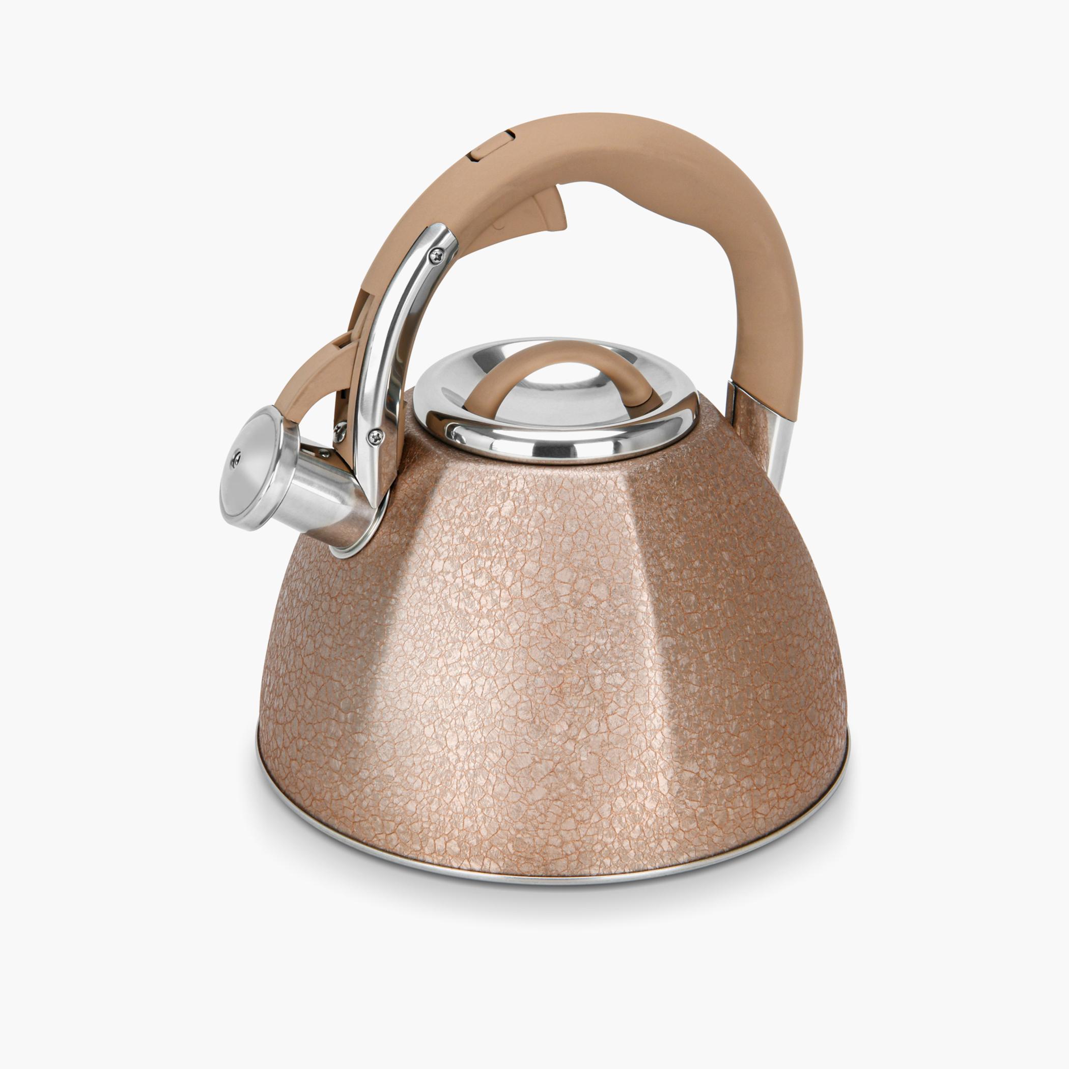 Goldy Stainless Steel Whistling Kettle - 3 L-household-dining-teaandcoffee-vacuumflaskscoffeeandteapots-image-4