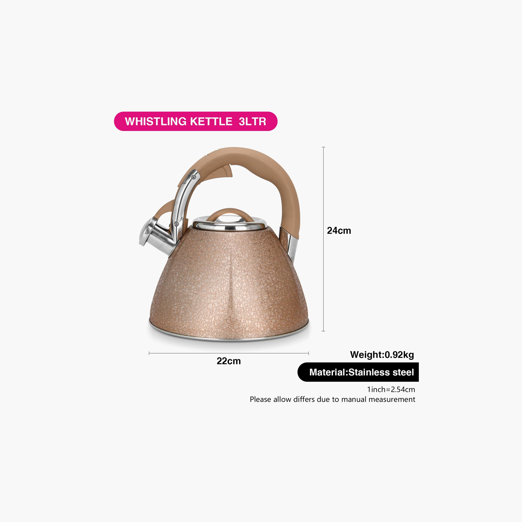 Goldy Stainless Steel Whistling Kettle - 3 L-household-dining-teaandcoffee-vacuumflaskscoffeeandteapots-image-6