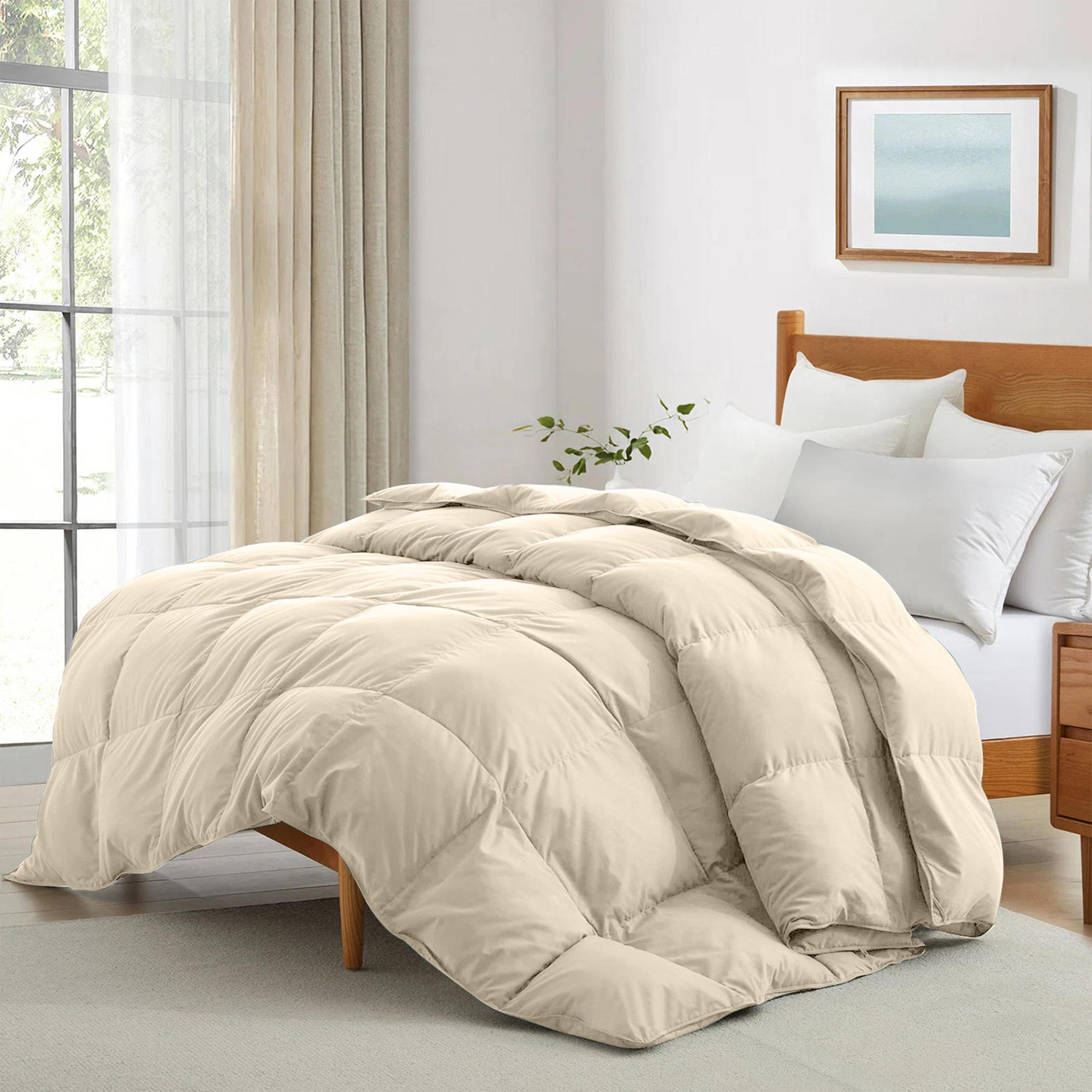 لحاف كوين سناجل من ألتيما - 150×220 سم-hbxbedroom-bedding-comfortersets-image-1